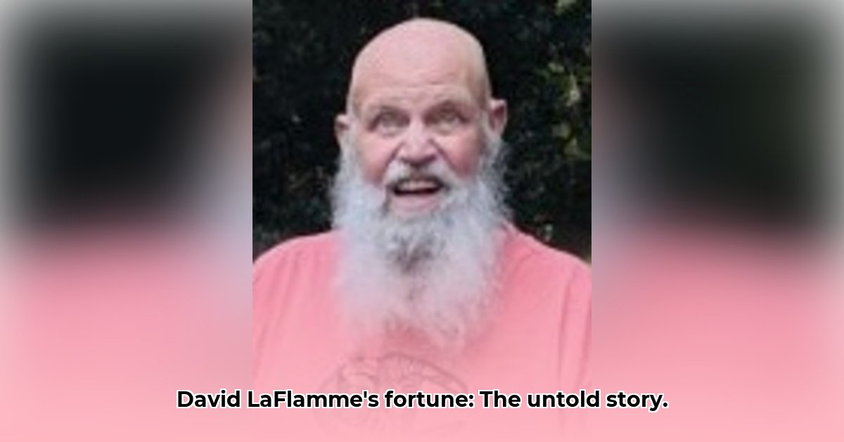 david-laflamme-net-worth